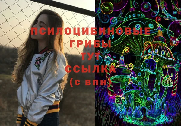 ПСИЛОЦИБИНОВЫЕ ГРИБЫ Баксан